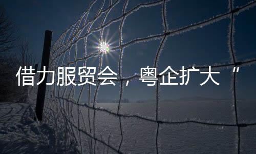 借力服贸会，粤企扩大“朋友圈”